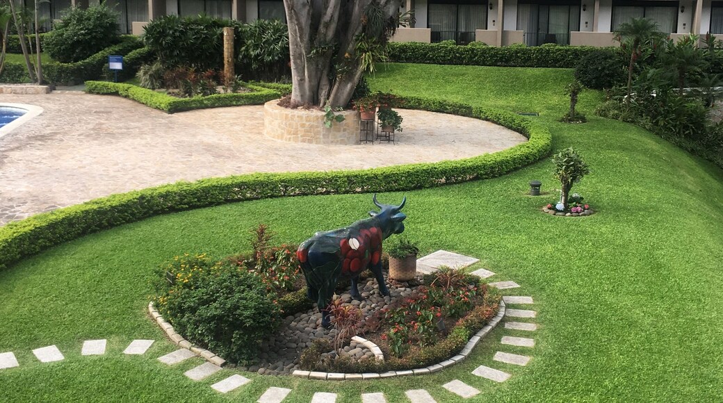 First experience in Costa Rica. The hotel is nothing special but the view was beautiful. Breakfast consisted or fresh fruit, eggs, and beans and rice.