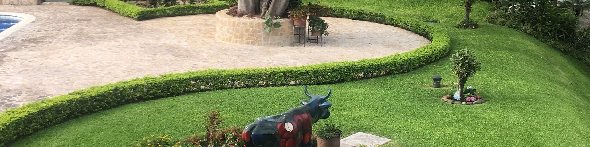 First experience in Costa Rica. The hotel is nothing special but the view was beautiful. Breakfast consisted or fresh fruit, eggs, and beans and rice.