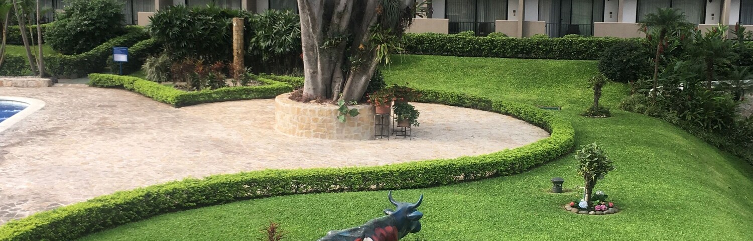First experience in Costa Rica. The hotel is nothing special but the view was beautiful. Breakfast consisted or fresh fruit, eggs, and beans and rice.