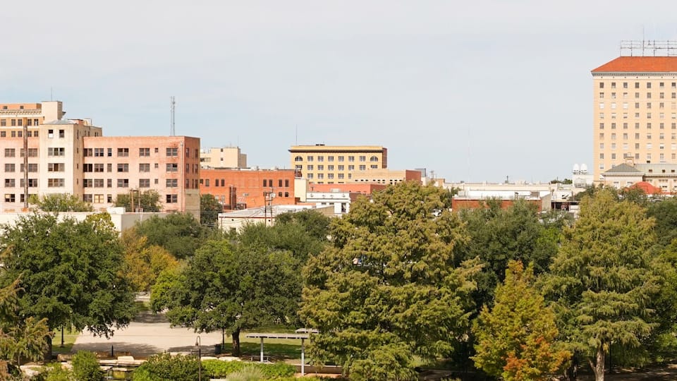 A cityscape with a prominent red-roofed building, a bridge, and dense green trees.