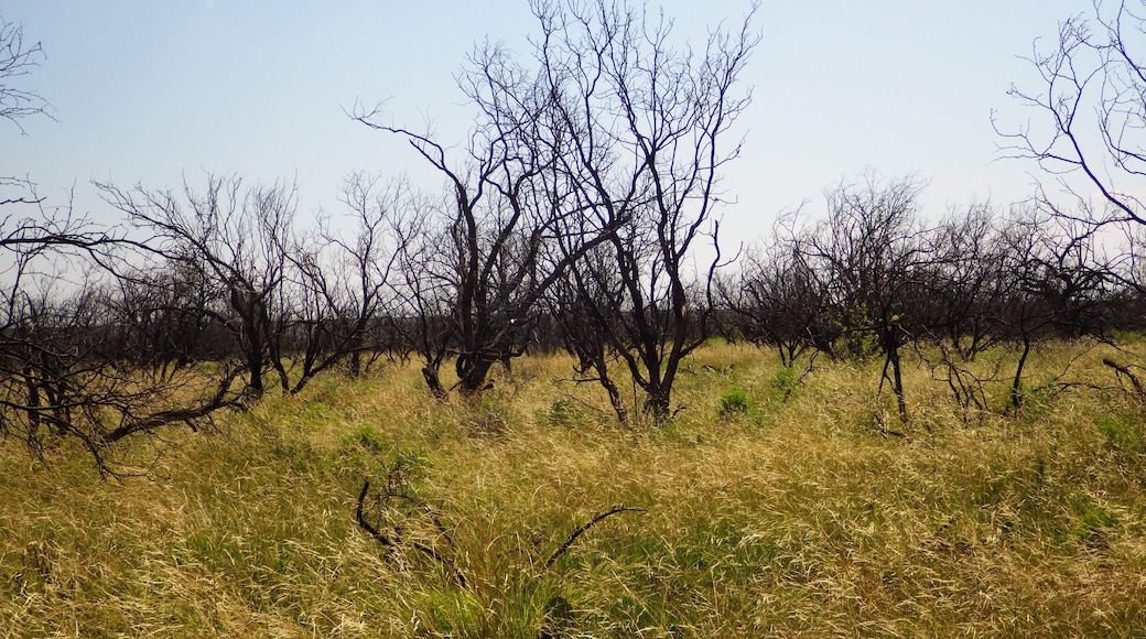 Typical view from a hiking trail. Not too shabby.