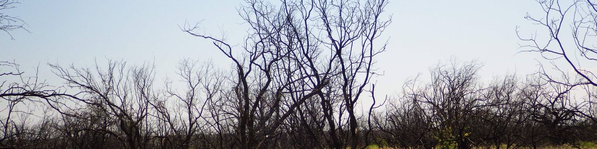 Typical view from a hiking trail. Not too shabby.