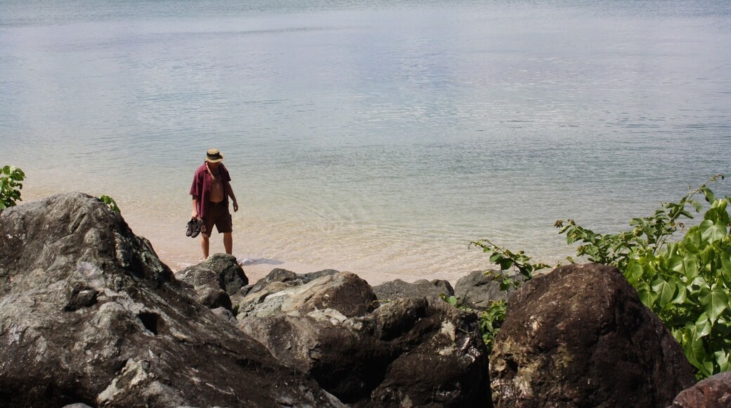 If you’re looking to travel to an island that has endless beaches, old towns filled with history and plenty of places to go on adventures like scuba diving, zip lining, or kayaking over an illuminated bay, Puerto Rico is the place! Don’t forget to try the Mofongo or fried plantains! #lifeatexpedia