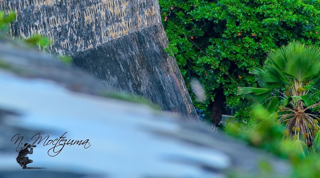 Murallas - Parque Las Palomas Viejo San Juan, P.R.