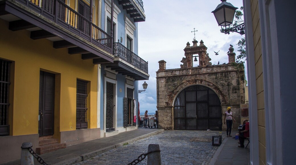 At the end of a narrow cobblestone street lies an old gate and park overlooking the Bahia de San Juan. Parque de las Palomas (The Pigeon Park) is where hundreds of pigeons flock and nest in the hollows of a centuries-old brick wall. Sweet little corner to take a break from the tourist corridors. #sanjuan #StunningStructures