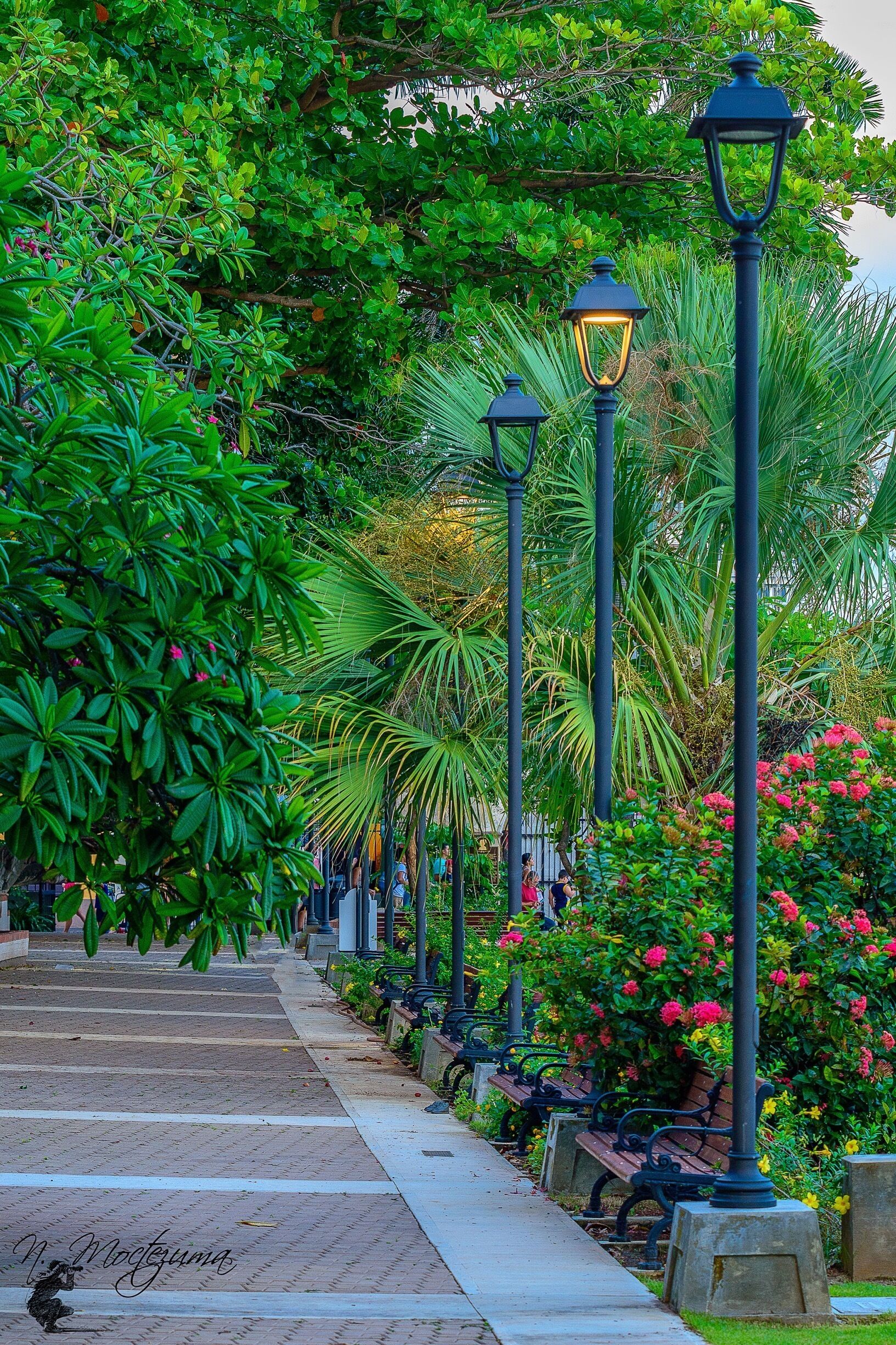 Parque Las Palomas @ Viejo San Juan, P.R.