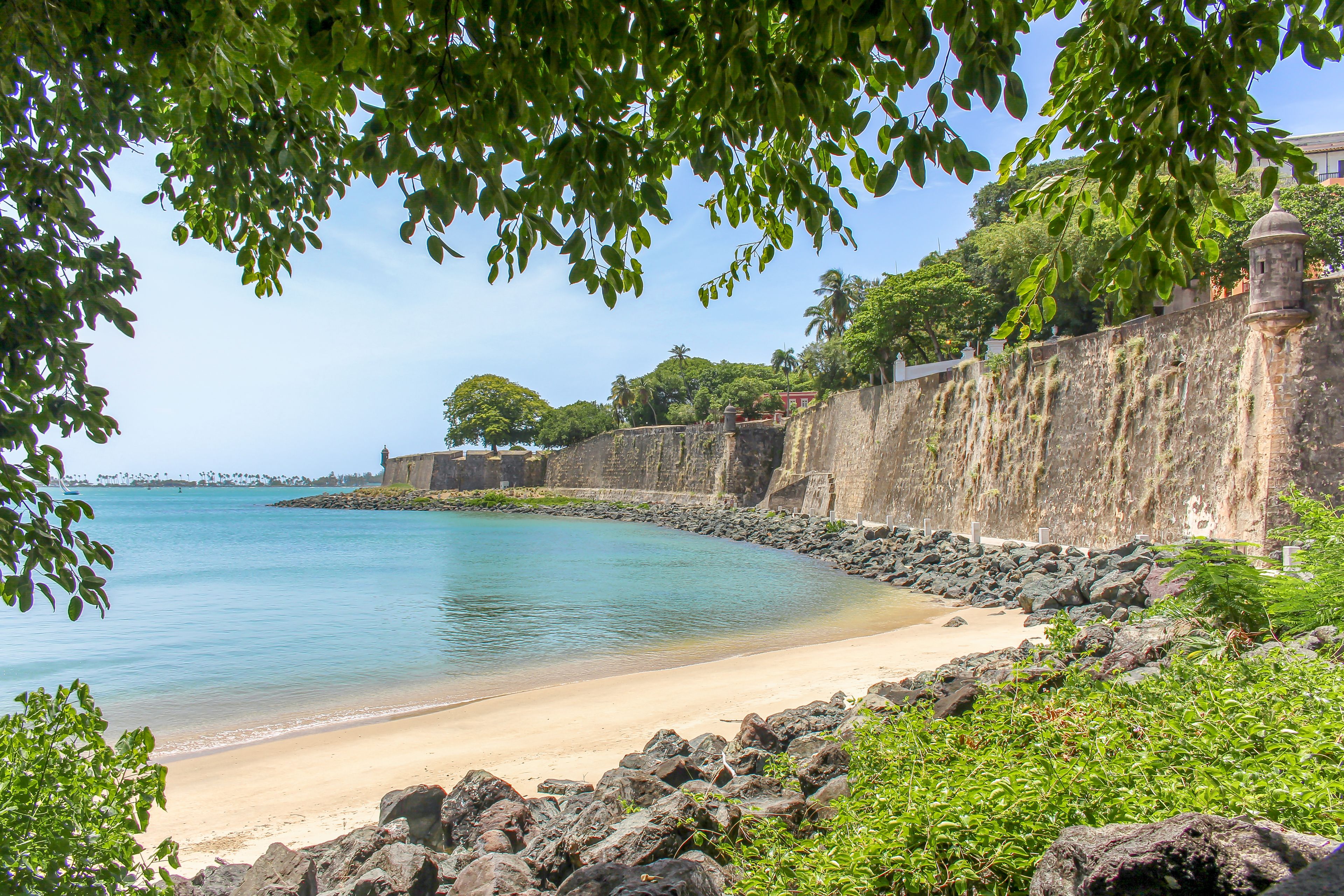 Un paisaje costero con una playa arenosa, un muro de piedra y vegetación exuberante.