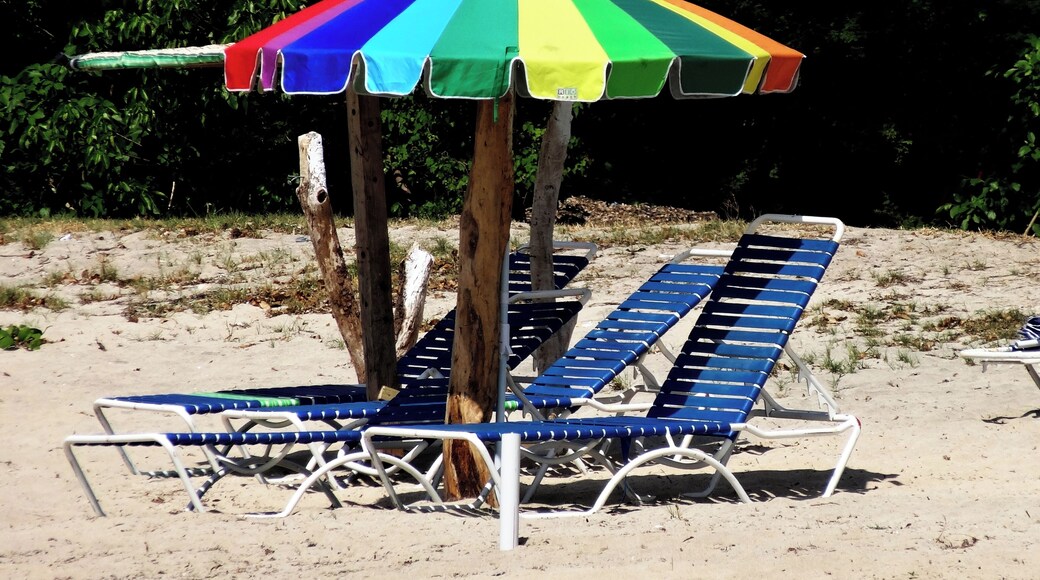 #SaintKitts #Nevis #Caribbean
A Cockleshell Bay é uma baía de águas limpas e mar tranquilo. A praia é boa para crianças. Na época em que a conheci a infraestrutura era pequena com apenas um bar e um restaurante. A areia estava maculada com muitas algas mas fui informado que parte das algas são deixadas na praia pois fazem parte de um micro ecossistema. Atrás da praia existe uma lagoa que à época exalava um cheiro forte de mangue.
Cockleshell Bay is a bay of clean water and calm sea. The beach is good for kids. At the time I visited it, the infrastructure was small, with only one bar and one restaurant. The sand was contaminated with many algae, but I was informed that some of the algae are left on the beach because they are part of a micro ecosystem. Behind the beach there is a lagoon that at the time exuded a strong swamp smell.