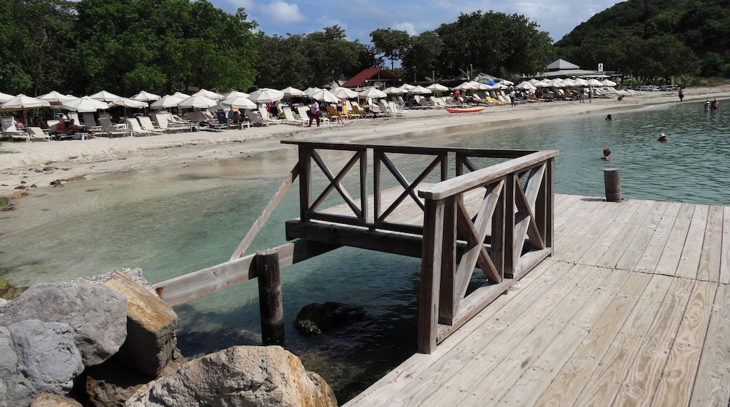 #SaintKitts #Nevis #Caribbean
A Cockleshell Bay é uma baía de águas limpas e mar tranquilo. A praia é boa para crianças. Na época em que a conheci a infraestrutura era pequena com apenas um bar e um restaurante. A areia estava maculada com muitas algas mas fui informado que parte das algas são deixadas na praia pois fazem parte de um micro ecossistema. Atrás da praia existe uma lagoa que à época exalava um cheiro forte de mangue.
Cockleshell Bay is a bay of clean water and calm sea. The beach is good for kids. At the time I visited it, the infrastructure was small, with only one bar and one restaurant. The sand was contaminated with many algae, but I was informed that some of the algae are left on the beach because they are part of a micro ecosystem. Behind the beach there is a lagoon that at the time exuded a strong swamp smell.