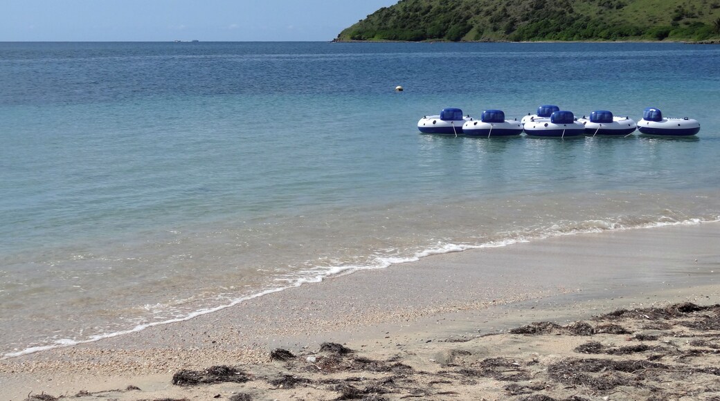 #SaintKitts #Nevis #Caribbean
A Cockleshell Bay é uma baía de águas limpas e mar tranquilo. A praia é boa para crianças. Na época em que a conheci a infraestrutura era pequena com apenas um bar e um restaurante. A areia estava maculada com muitas algas mas fui informado que parte das algas são deixadas na praia pois fazem parte de um micro ecossistema. Atrás da praia existe uma lagoa que à época exalava um cheiro forte de mangue.
Cockleshell Bay is a bay of clean water and calm sea. The beach is good for kids. At the time I visited it, the infrastructure was small, with only one bar and one restaurant. The sand was contaminated with many algae, but I was informed that some of the algae are left on the beach because they are part of a micro ecosystem. Behind the beach there is a lagoon that at the time exuded a strong swamp smell.