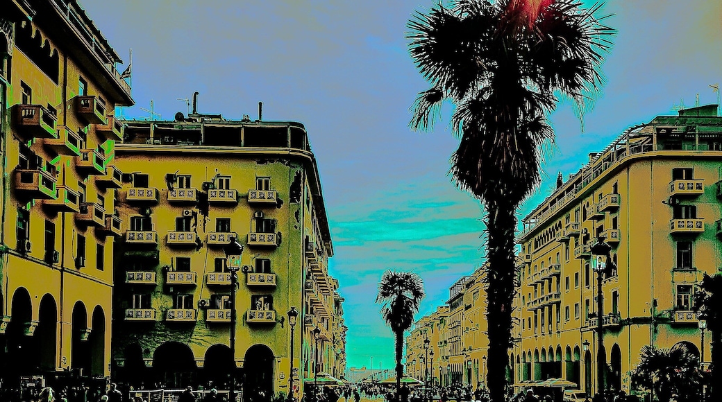 YeLlOw SquaRe
🔺view of Aristotelous Square
🔹Black and Yellow edition
@streetphotographyinternational
#skg #skgstories #thessaloniki