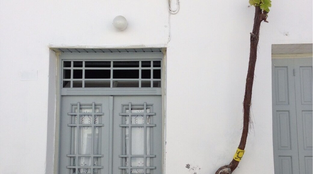 Skyros, main village