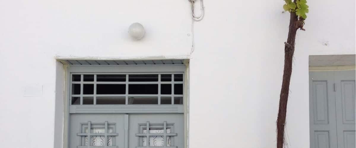 A light blue door with a metal grid and a brass handle, a small white wall-mounted light, and a tree with a yellow tag growing beside the door.