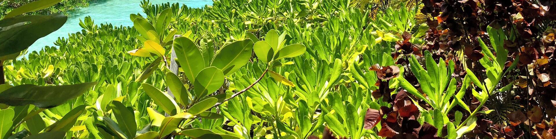 Most beautiful island on planet earth