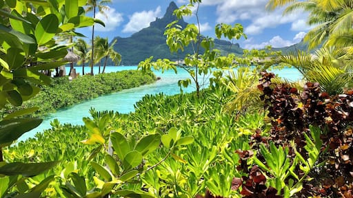 Most beautiful island on planet earth