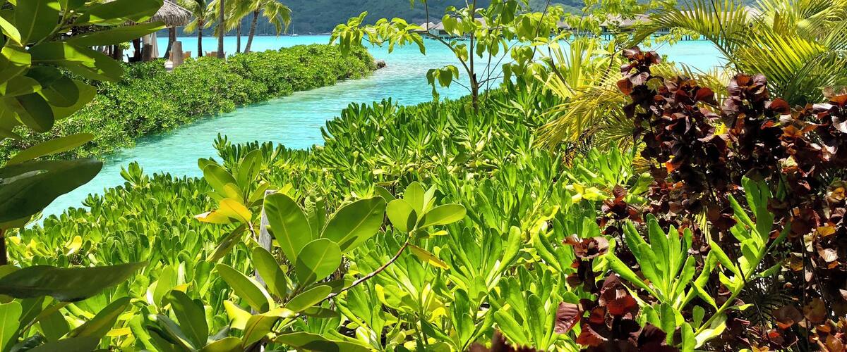 A tropical beach with clear turquoise water, lush greenery, and a mountain in the background.