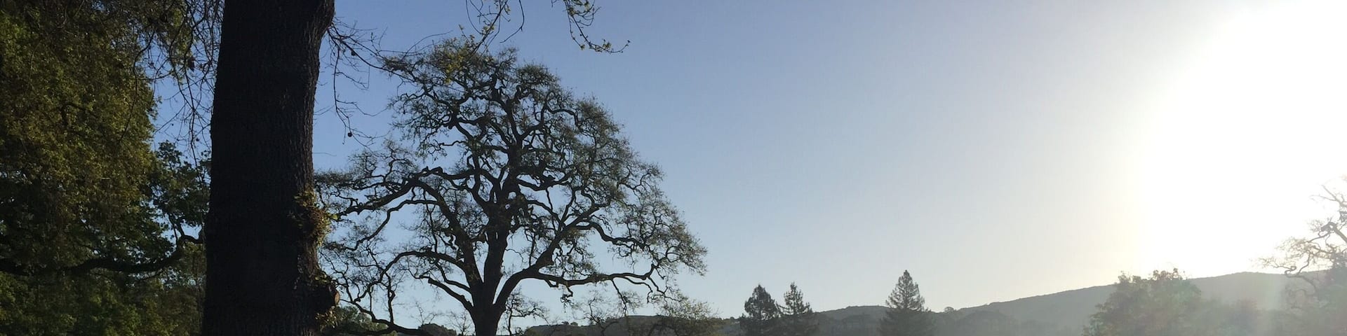 Beautiful golf course lined with ancient oaks and redwoods.