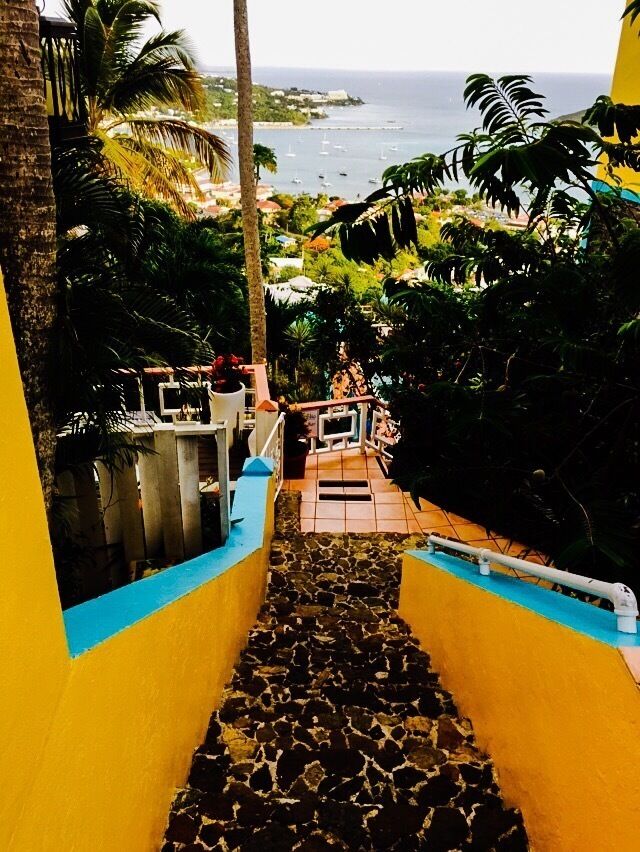 Great restaurant to have dinner! Fantastic food and a great view of St. Thomas 