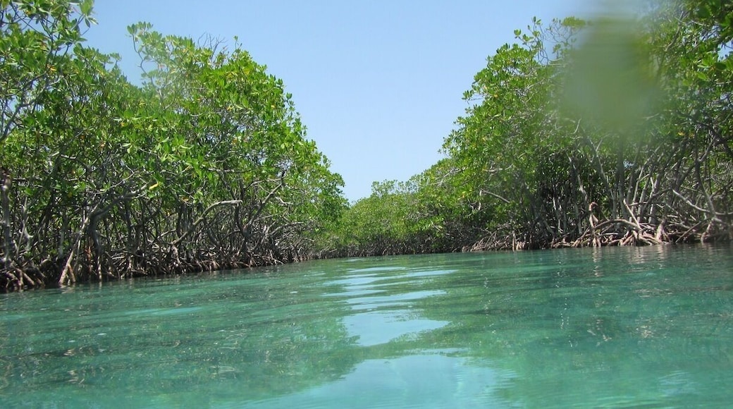 Swimming on the beautiful waters of Gilligan's Island #Beach #Island #PuertoRico #Paradise