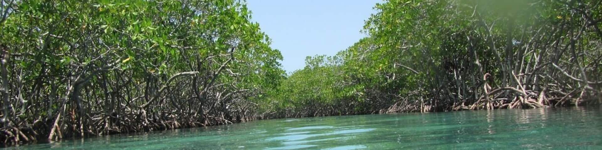 Swimming on the beautiful waters of Gilligan's Island #Beach #Island #PuertoRico #Paradise