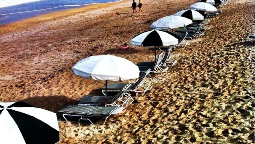 A beach with rows of sun loungers and umbrellas, a sandy shore, and the ocean in the background.