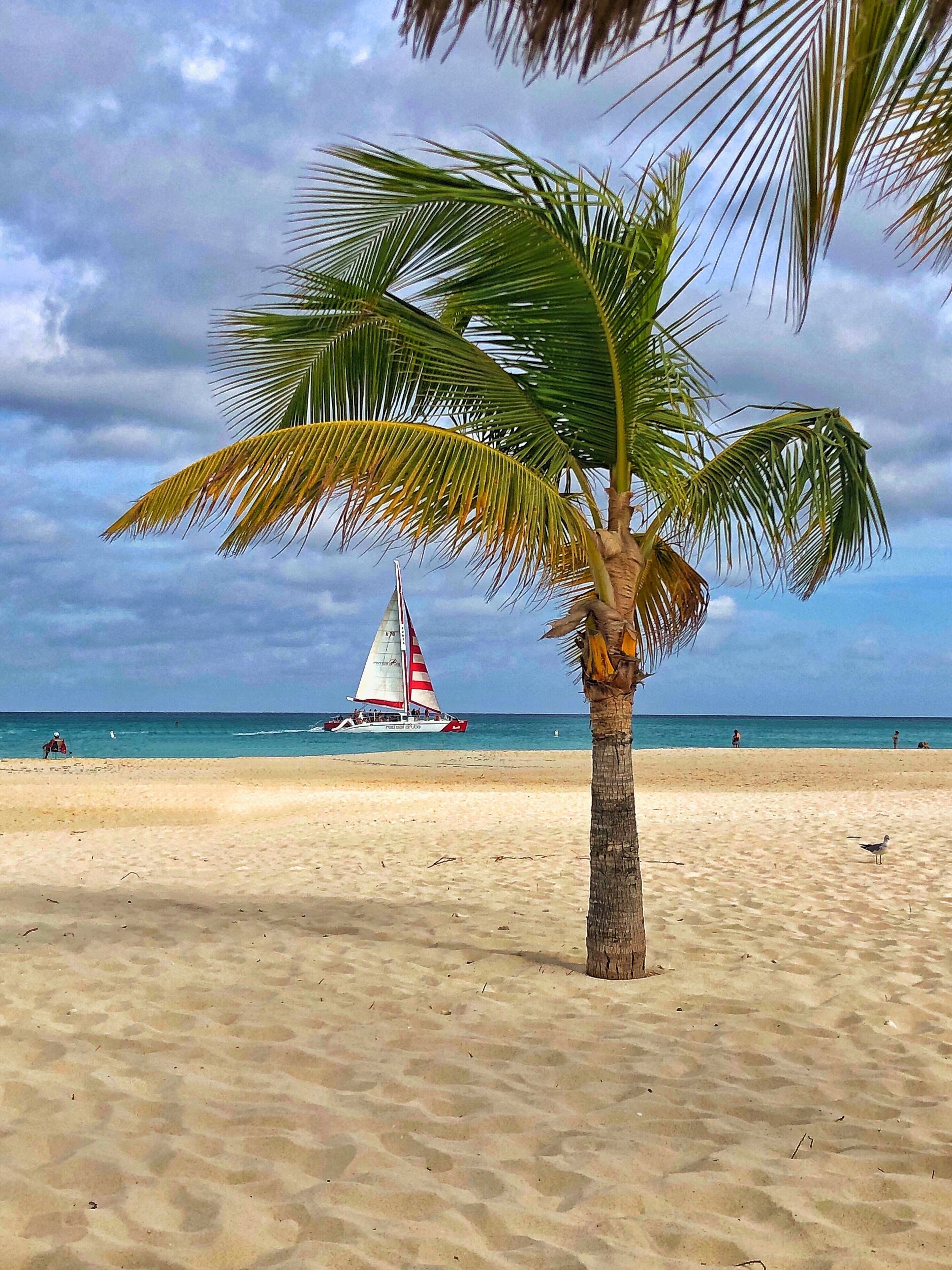 You’ll be hard pressed to find a beach any prettier than Manchebo Beach in Aruba!