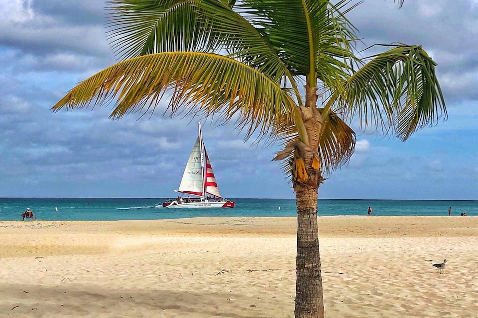 Ein sandiger Strand mit einer Palme und einem Segelboot in der Ferne.