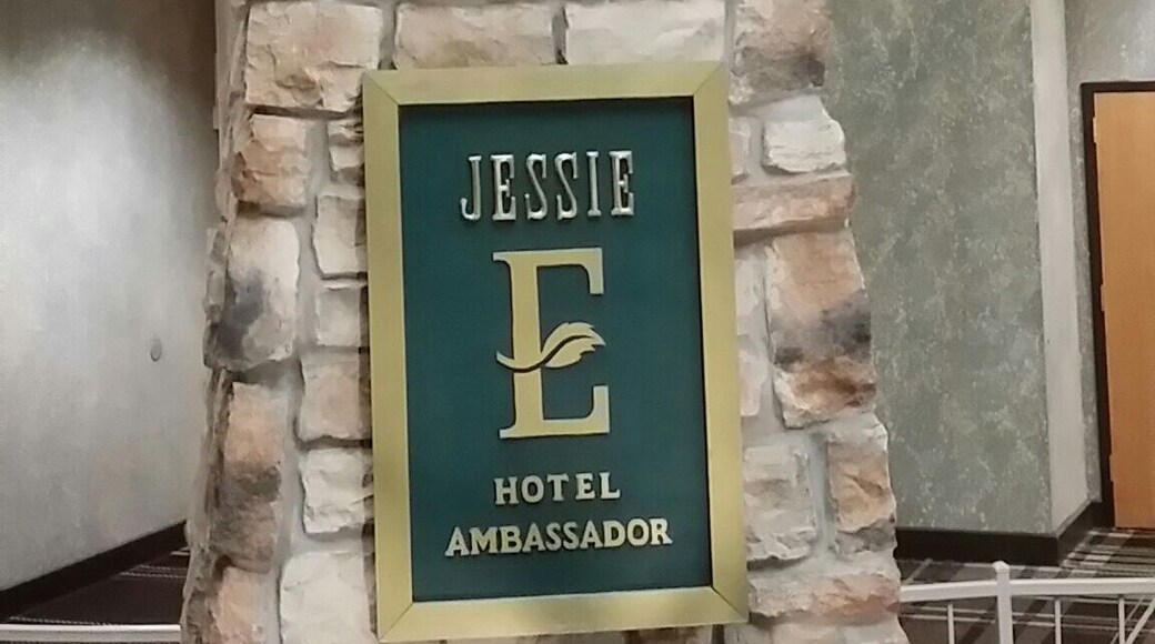 Keeping with the animals in hotels theme..... Meet Jesse the bear. His promise is to provide guests with more than just the bear necessities.