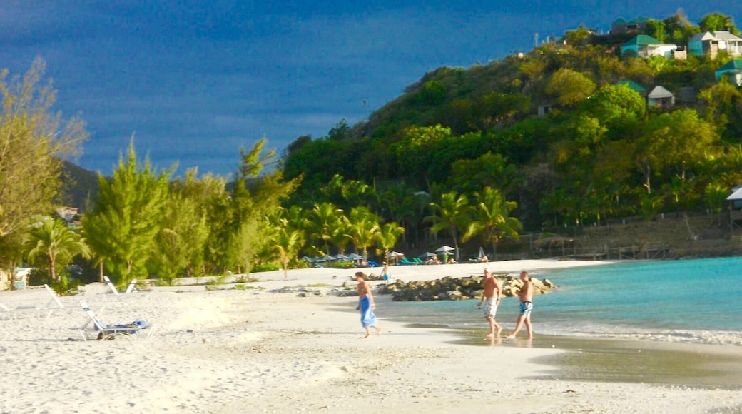One of my favorite places in the Caribbean has to be Antigua.
Absolutely stunning scenery. The land of 365 beaches - one for every day of the year .
#beachbound
#caribbean #antigua
#jollybeach