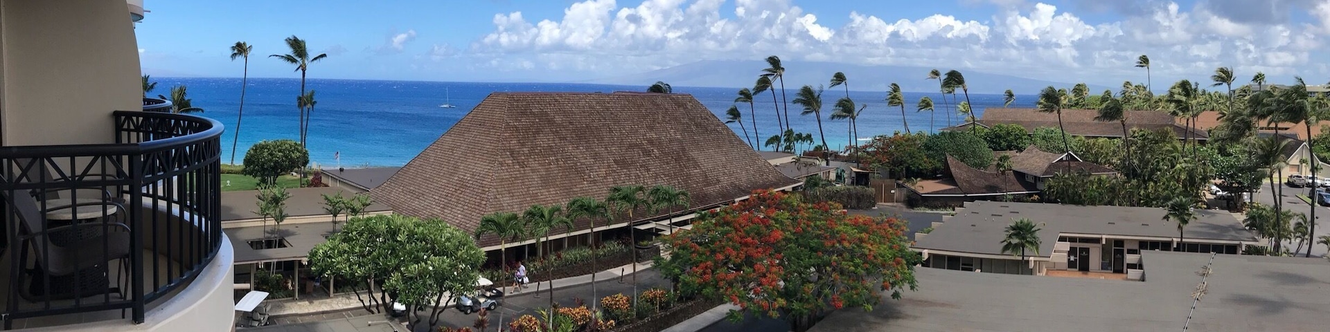 View from our room at the Royal Lahaina Resort in #maui #hawaii