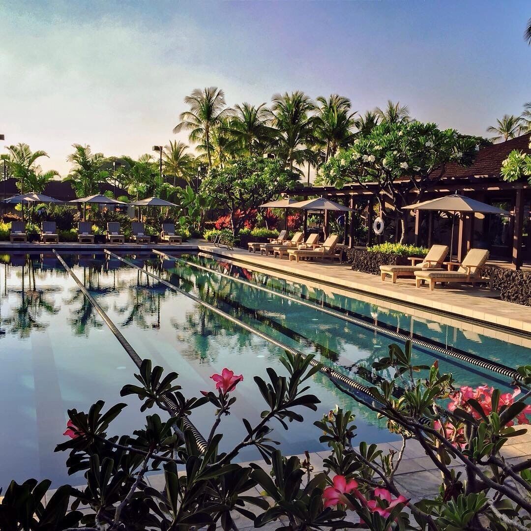 The Fitness facilities surround this inviting lap #pool making it a much more rewarding treat after a workout. #luxurious #resort #waterlust #kona #hawaii

Visit my website to see my article at this luxurious resort at http://khylasophy.com/2015/09/19/four-seasons-resort-hualalai
