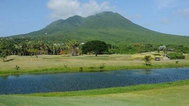 A grassy field with a pond, a mountain in the background, and some trees.