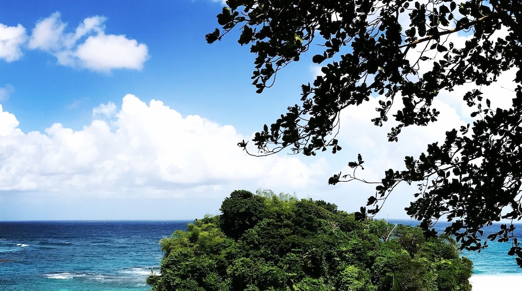 #lifeatexpedia That blue, it just doesn’t stop!