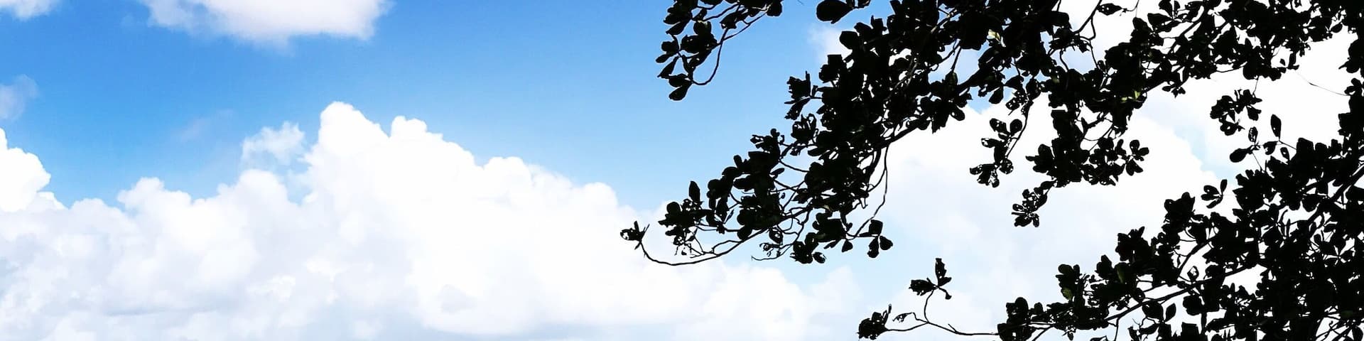 #lifeatexpedia That blue, it just doesn’t stop!