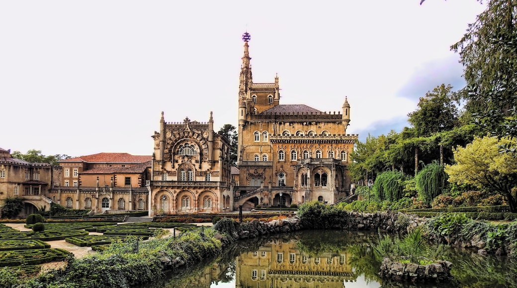 #bussaco #bucaco #palace #portugal #palace
The Palácio Hotel do Buçaco was built in the late 19th century in Neo-Manueline style. It is part of an architectural and landscape complex in the National Forest of Buçaco. The Palace is richly furnished and decorated with several works of art, wonderful frescoes and fantastic tile panels, representing above all the Epic of the Portuguese Discoveries. Most works are by 19th century Portuguese masters such as Jorge Colaço and Carlos Reis.
O Palácio Hotel do Buçaco foi construído no final do século XIX em estilo Neomanuelino. Faz parte de um complexo arquitetônico e paisagístico na Mata Nacional do Buçaco. O Palácio está ricamente mobilado e decorado com várias obras de arte, afrescos maravilhosos e fantásticos painéis de azulejos representando sobretudo a Epopeia dos Descobrimentos Portugueses. A maioria dos trabalhos é da autoria de mestres portugueses do séc. XIX como Jorge Colaço e Carlos Reis.