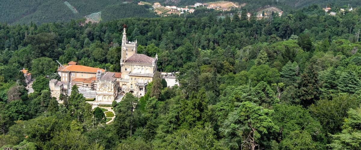 A castle surrounded by dense forest and rolling hills.
