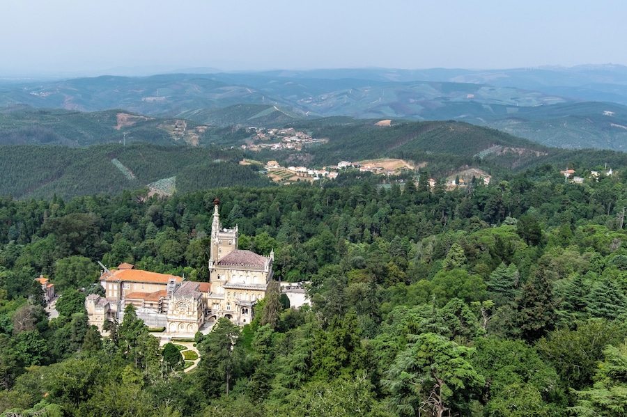 Um castelo rodeado por uma floresta densa e colinas ondulantes.