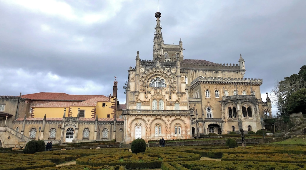The Bussaco Palace is now a beautiful hotel. It is surrounded by a forest and next to a convent. A beautiful place in Luso, Portugal