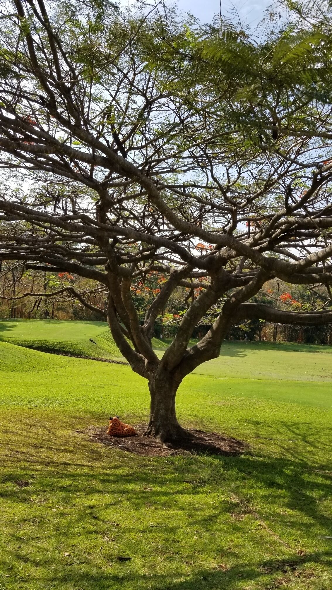 The scenery was beautiful. This hotel has a pro shop and golf. #lifeatexpedia #troverRT