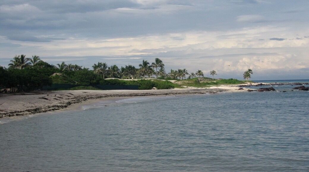 Daily walks along the beach enjoying the views