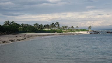 Daily walks along the beach enjoying the views