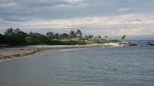 Daily walks along the beach enjoying the views