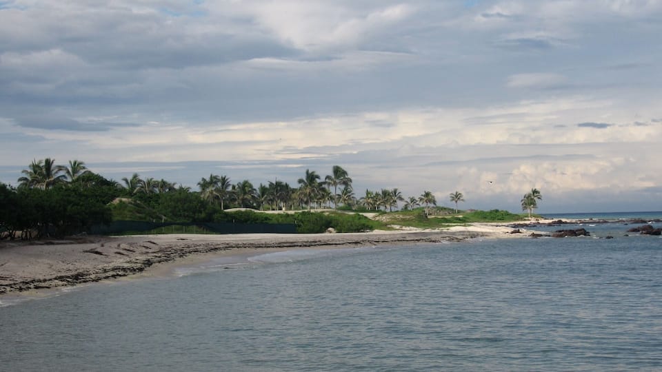 A beach with palm trees and a cloudy sky.