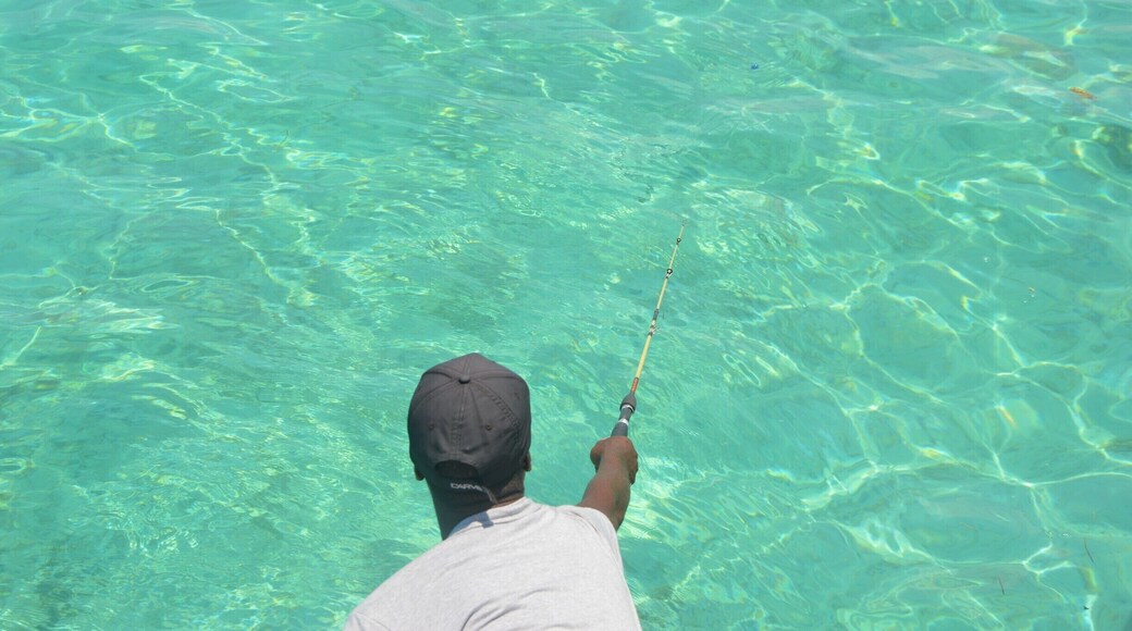 Here is a memory of our yatch's driver fishing to catch fish ( which is the lunch)who stops in the middle of nowhere which has transparent green water.
It becomes an incredible view when the green wart mixes up with the.
#LifeAtExpedia