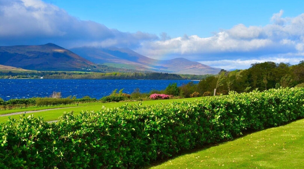 After a long, bumpy flight and initial downpour of rain we arrived at our hotel in Killarny to find sun and a faint rainbow in the distance!
#lifeatexpedia #rainbows #ireland