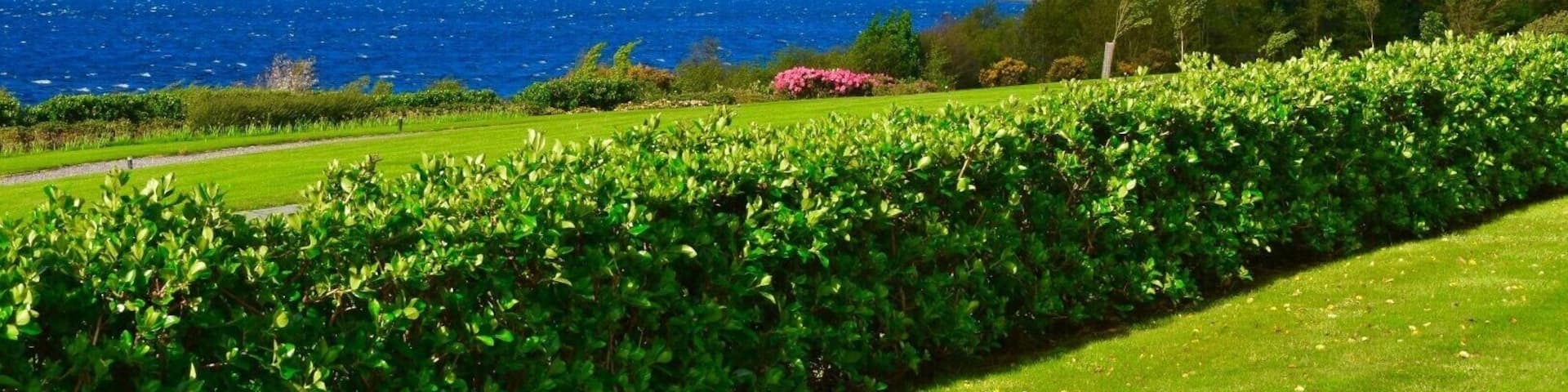 After a long, bumpy flight and initial downpour of rain we arrived at our hotel in Killarny to find sun and a faint rainbow in the distance!
#lifeatexpedia #rainbows #ireland