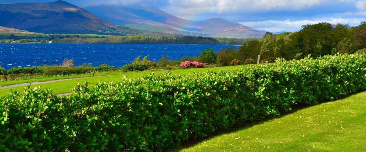 A lake surrounded by lush greenery and mountains.