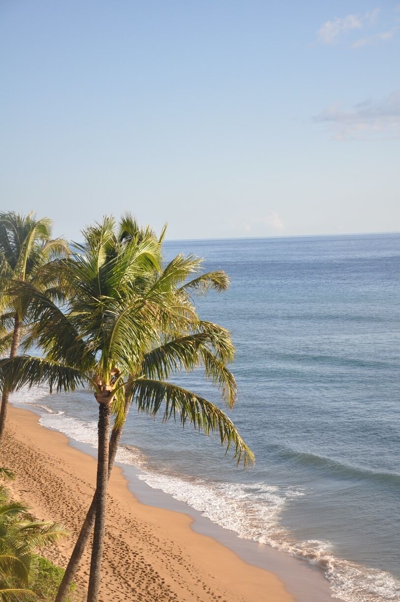 Any coastal view in Maui is bound to be amazing.