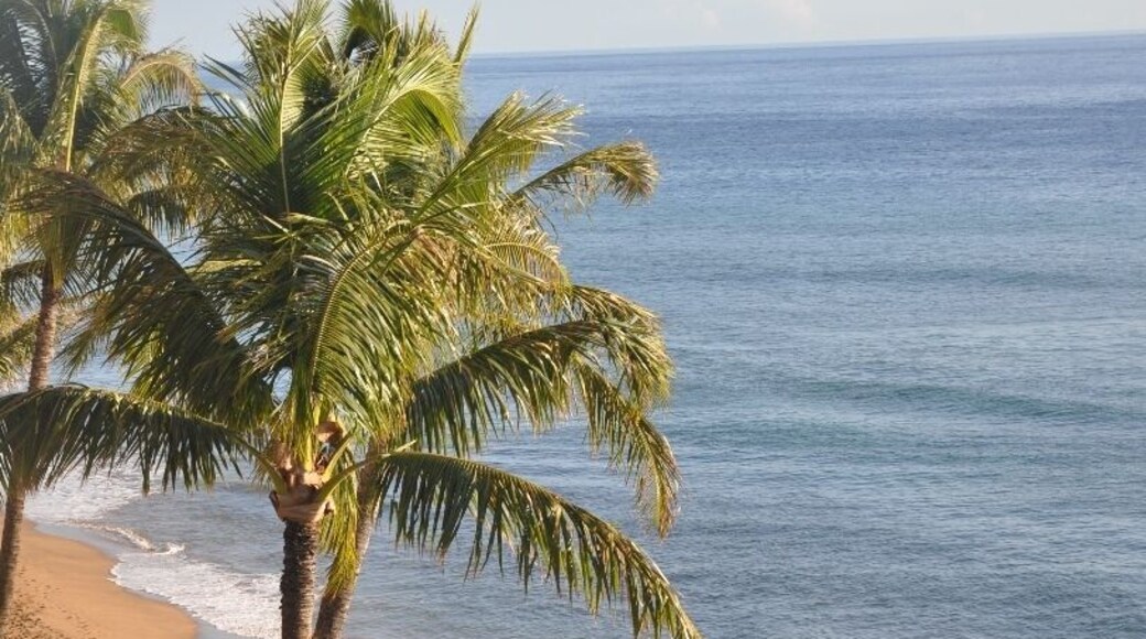 Any coastal view in Maui is bound to be amazing.