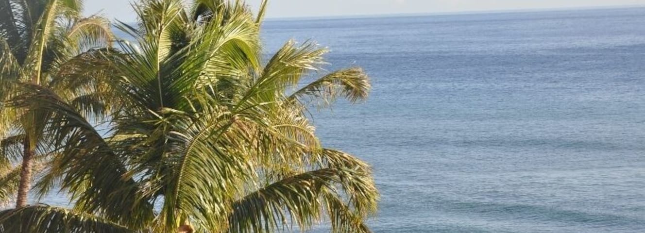 Any coastal view in Maui is bound to be amazing.